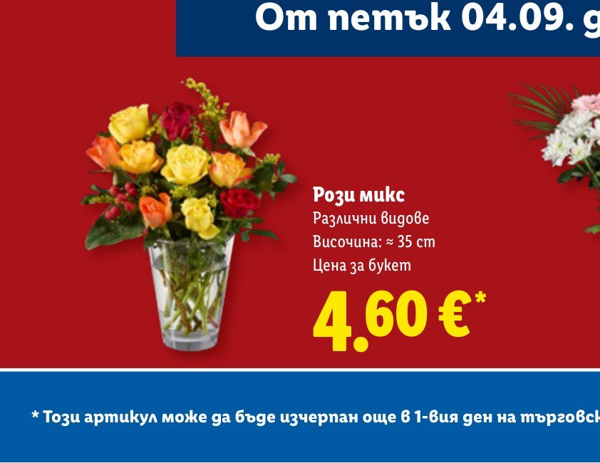 Рози микс – Лидл