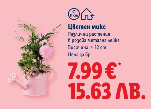 Цветен микс - Лидл