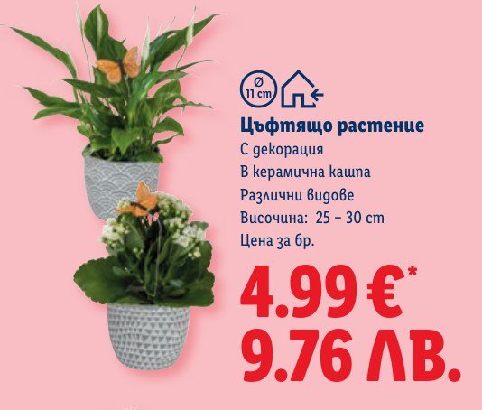 Цъфтящо растение - Лидл
