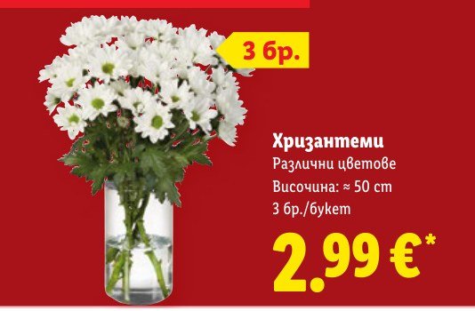 Хризантеми 3 бр - Лидл