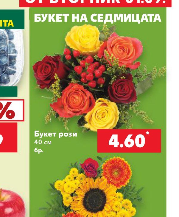 Букет рози 40 см 6 бр – Кауфланд