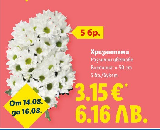 Хризантеми 5 бр - Лидл