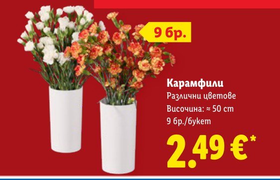 Карамфили 9 бр - Лидл