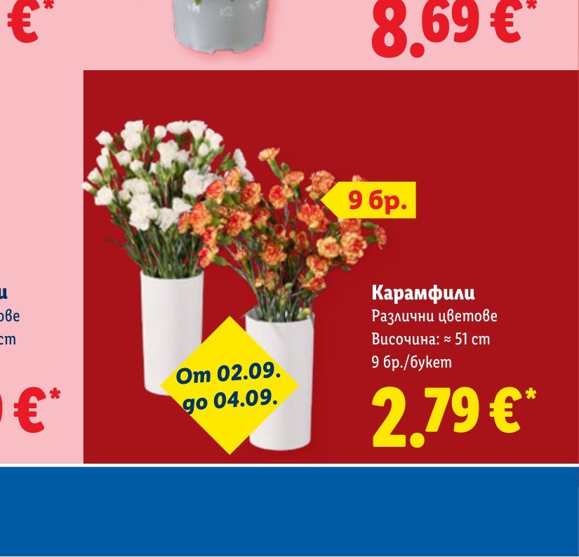 Карамфили 9 бр – Лидл