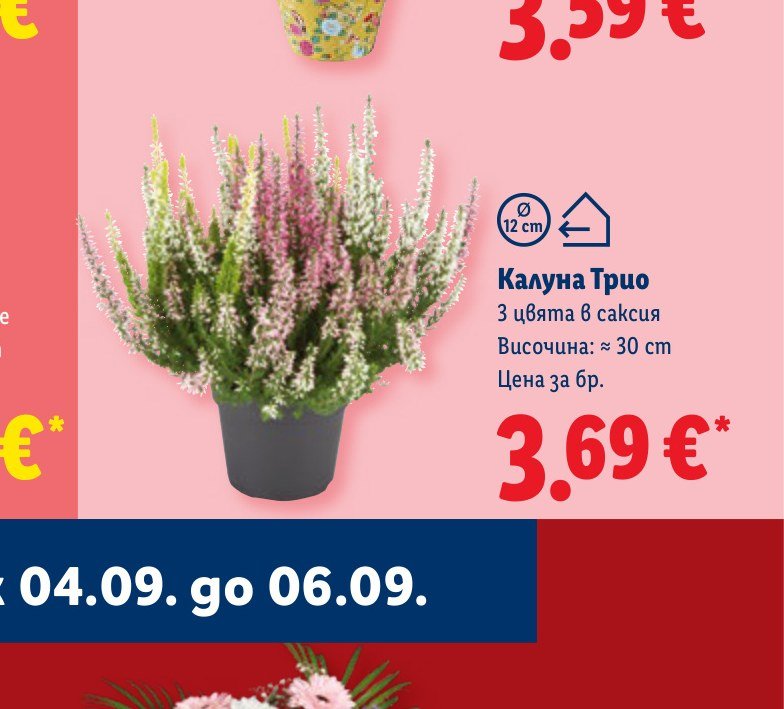 Калуна Трио - Лидл