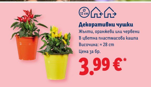 Декоративни чушки - Лидл