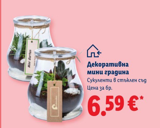 Декоративна мини градина – Лидл