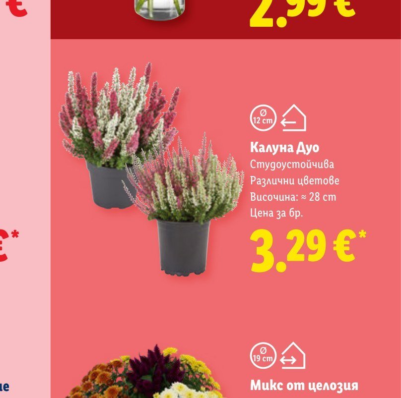 Калуна Дуо - Лидл