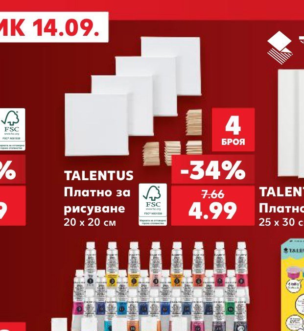 TALENTUS Платно за рисуване 20 x 20 см 4 броя - Кауфланд