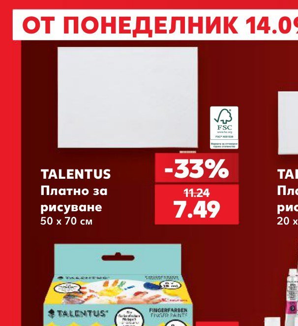 TALENTUS Платно за рисуване 50 x 70 см - Кауфланд