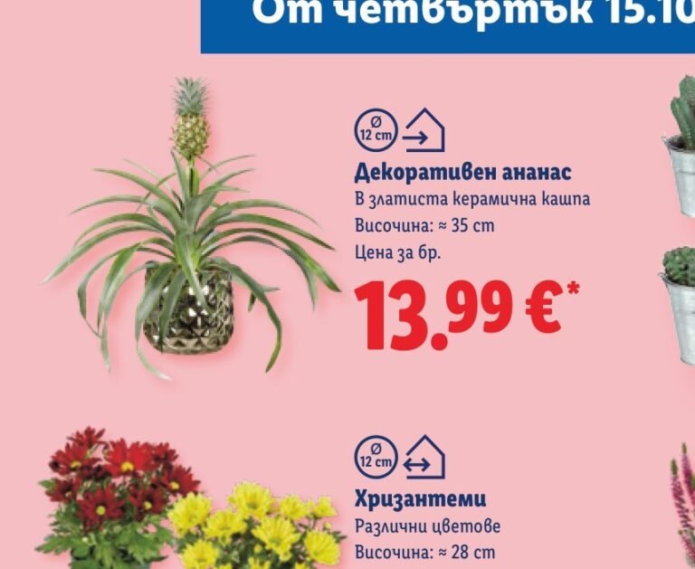 Декоративен ананас в златиста керамична кашпа, височина около 35 см - Лидл