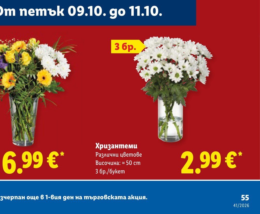 Хризантеми Различни цветове Височина: ≈ 50 см 3 бр./букет - Лидл