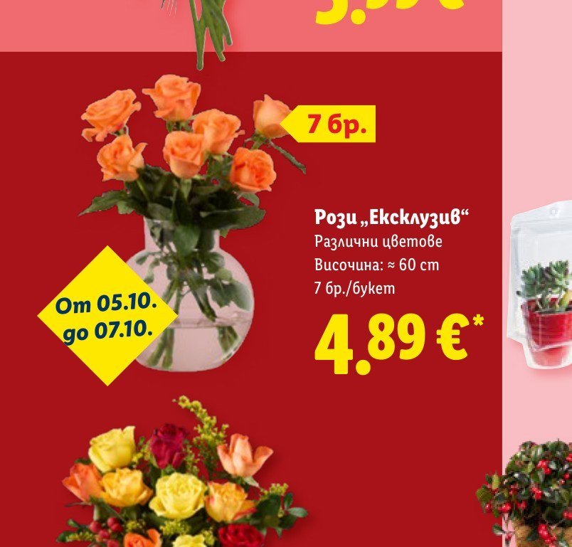 Рози „Ексклузив“ 7 бр - Лидл