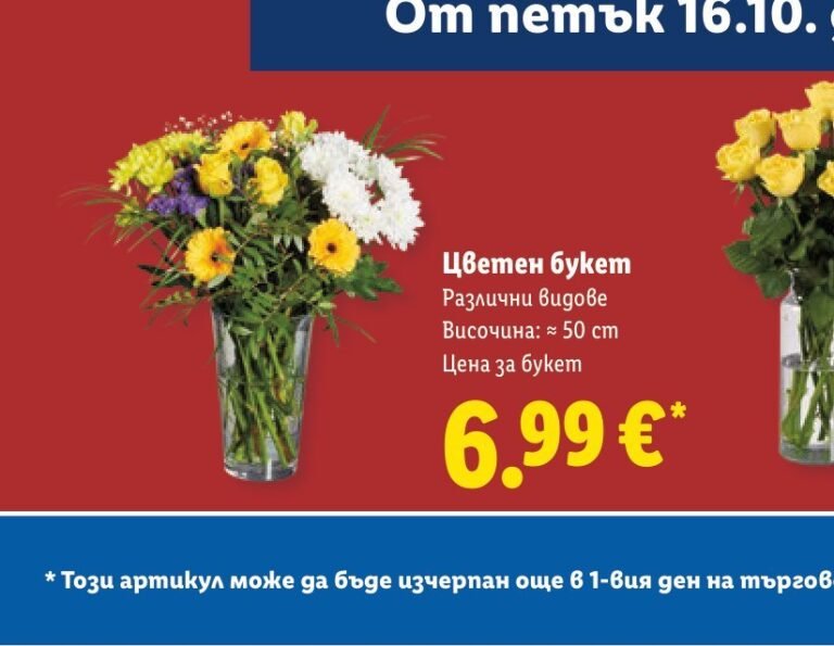Цветен букет Различни видове Височина: ≈ 50 см - Лидл