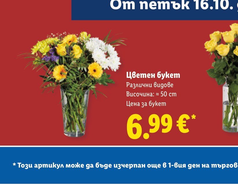 Цветен букет Различни видове Височина: ≈ 50 см - Лидл
